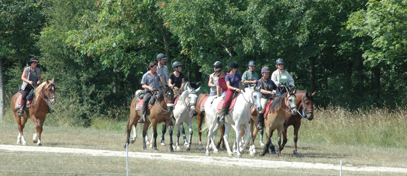 FRANCE A CHEVAL - Randonnée équestre, week-end à cheval, stages, randos  juniors - Par Randocheval