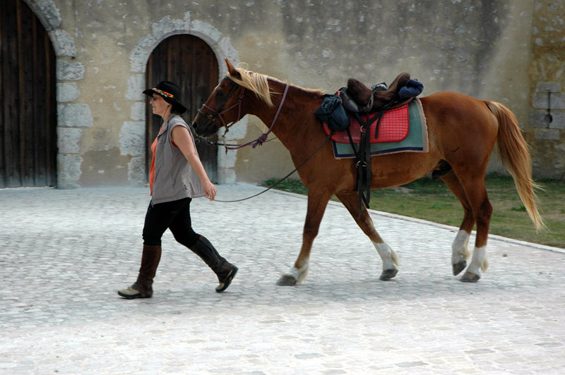 FRANCE A CHEVAL - Randonnée équestre, week-end à cheval, stages, randos  juniors - Par Randocheval